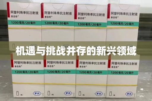 南昌机遇与挑战并存的新兴领域