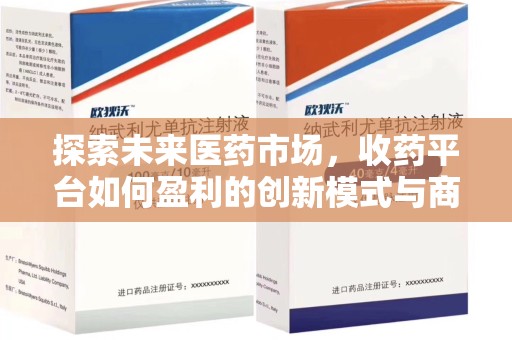 南昌探索未来医药市场，收药平台如何盈利的创新模式与商业前景