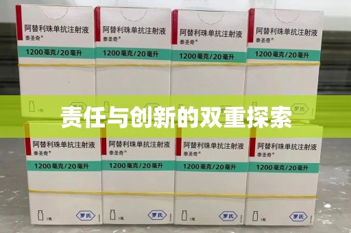 南昌责任与创新的双重探索