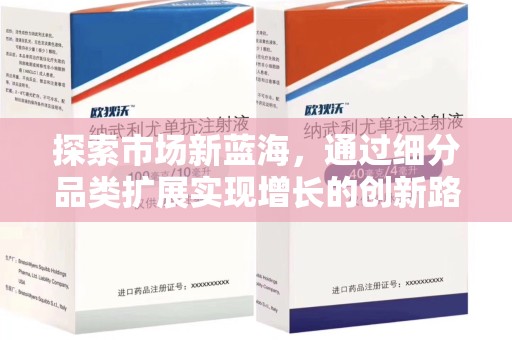 南昌探索市场新蓝海，通过细分品类扩展实现增长的创新路径