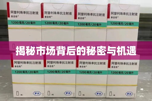 南昌揭秘市场背后的秘密与机遇