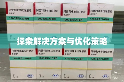 南昌探索解决方案与优化策略