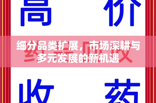 南昌细分品类扩展，市场深耕与多元发展的新机遇