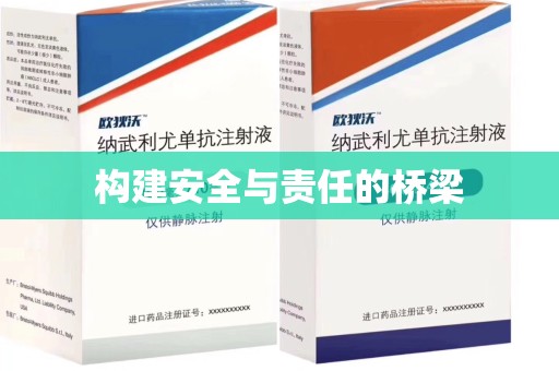 南昌构建安全与责任的桥梁