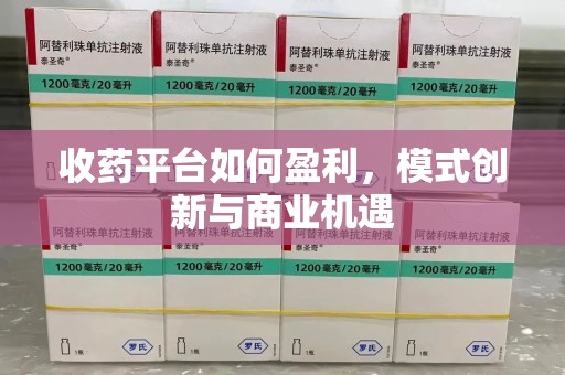 南昌收药平台如何盈利，模式创新与商业机遇