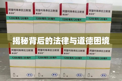 南昌揭秘背后的法律与道德困境