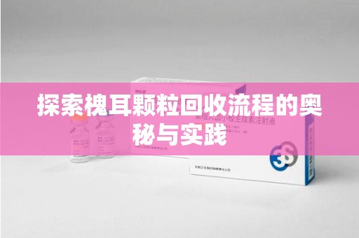 南昌探索槐耳颗粒回收流程的奥秘与实践