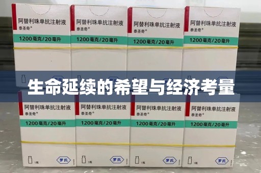 南昌生命延续的希望与经济考量